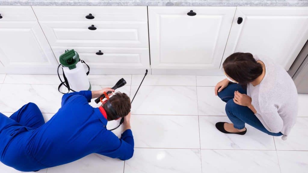 Cockroach Control