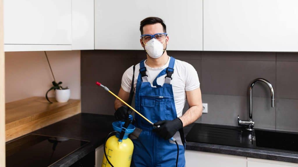 Rotorua Pest Control
