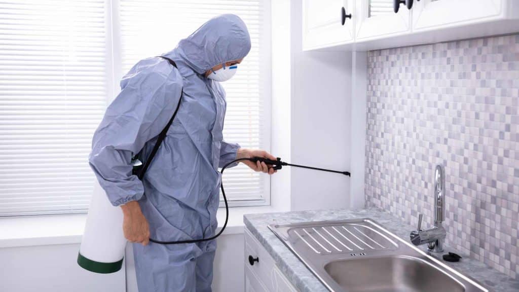 Rotorua Pest Control